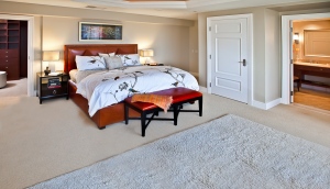 IMG_6021-Edit_rug_1_72dpi_9X13