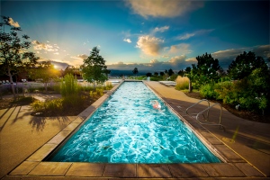 MG_1446-Edit-Edit-Edit_72dpi_9X131