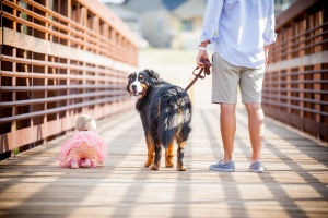 IMG_6157_72dpi_9X13